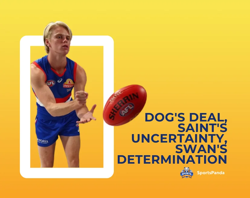 Dog's Deal, Saint's Uncertainty, Swan's Determination